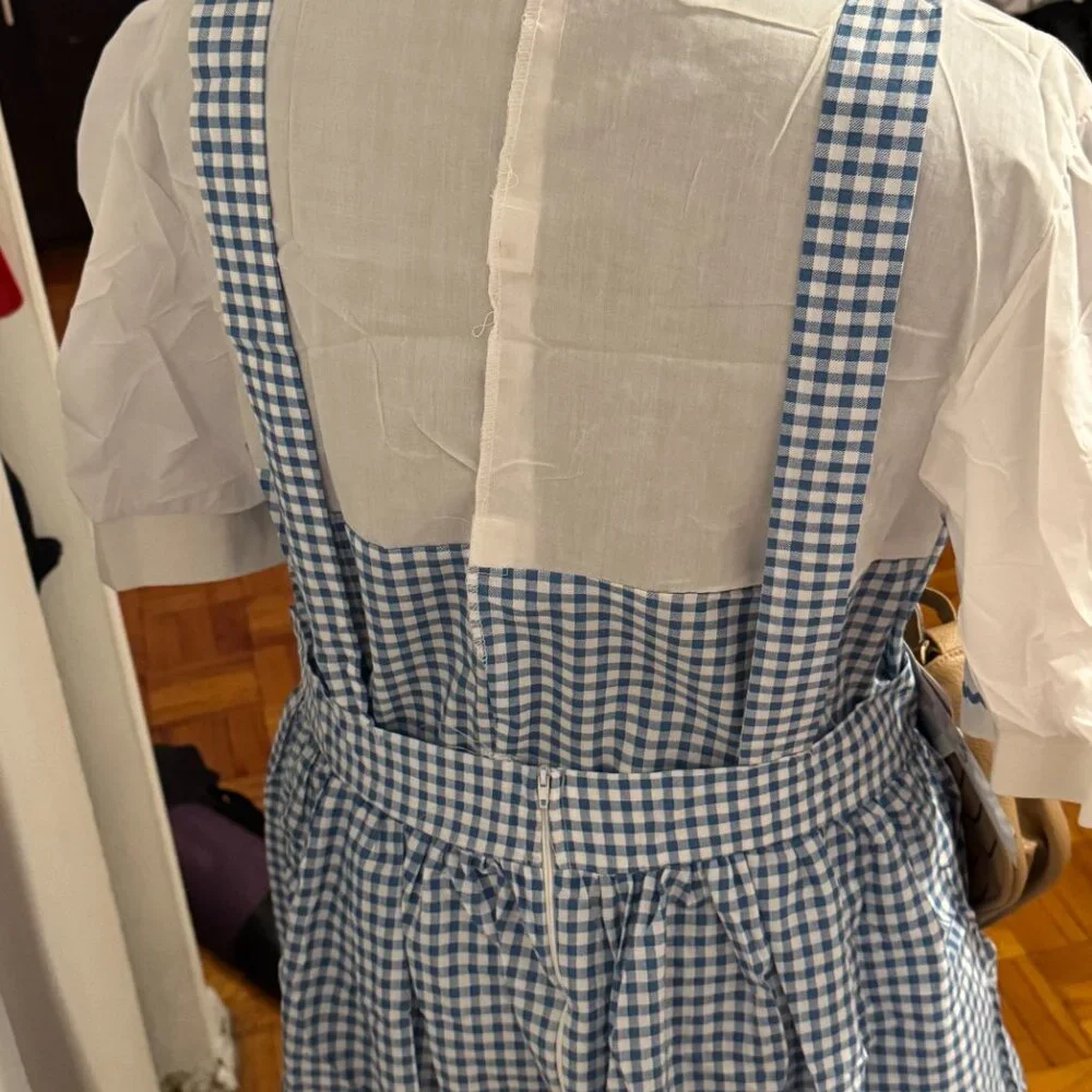 Plus Size Wizard Os Dress, Wig and Bag - Picture 5 of 7